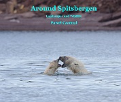 Around Spitsbergen Book